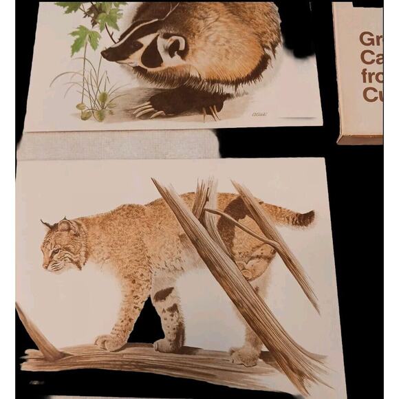 1980 American Wildlife Greeting 8 Cards From Current Vintage w Envelopes & Box - Picture 5 of 16